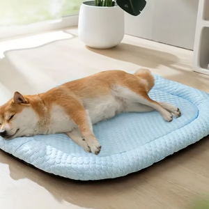 Wholesale Pet Products Suppliers, China Pet Products Manufacturer